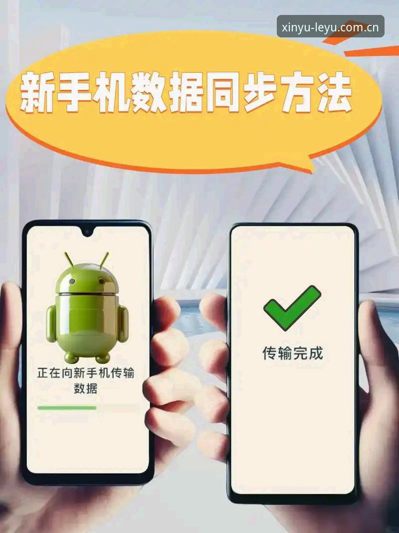 手机端数据查询实用技巧：乐鱼数据站替代推荐手机版